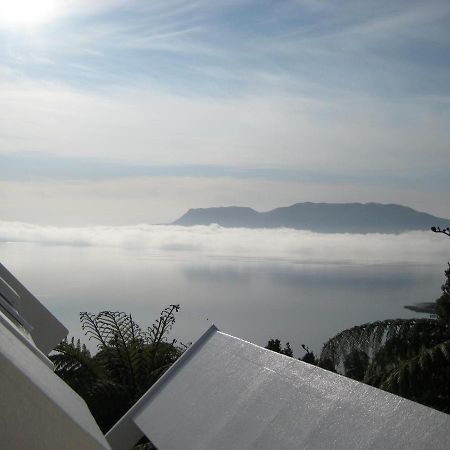 فندق Te Whare -Lake Tarawera Tree-Top Nest المظهر الخارجي الصورة