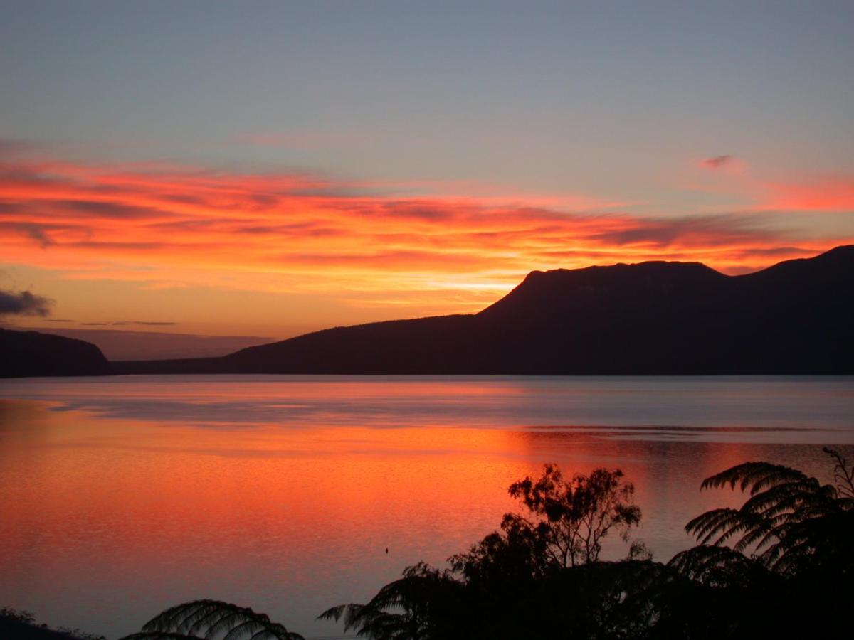 فندق Te Whare -Lake Tarawera Tree-Top Nest المظهر الخارجي الصورة